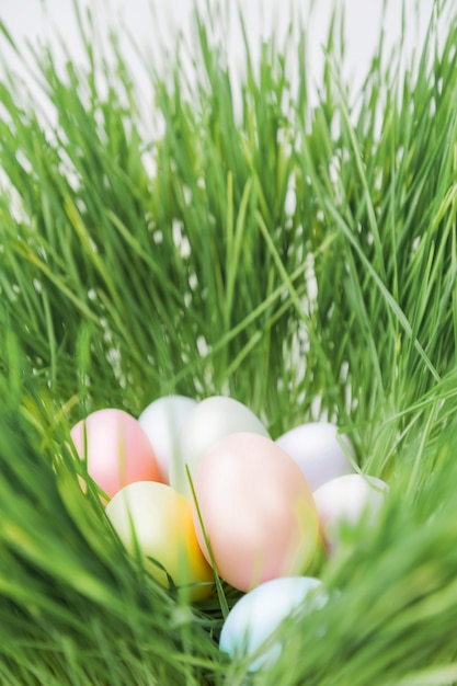 Linda foto creativa con huevos de pascua en el nido.