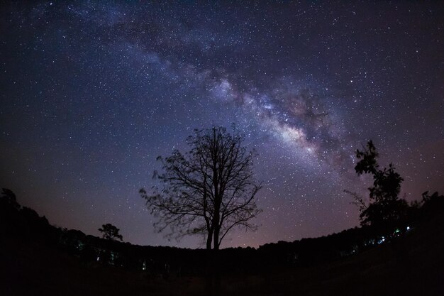 Linda galáxia da Via Láctea em um céu noturno e silhueta de árvore com nuvem
