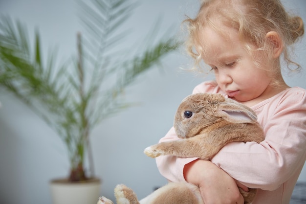 Linda garota abraçando um coelho encaracolado em casa garota com espaço de cópia de coelho de estimação