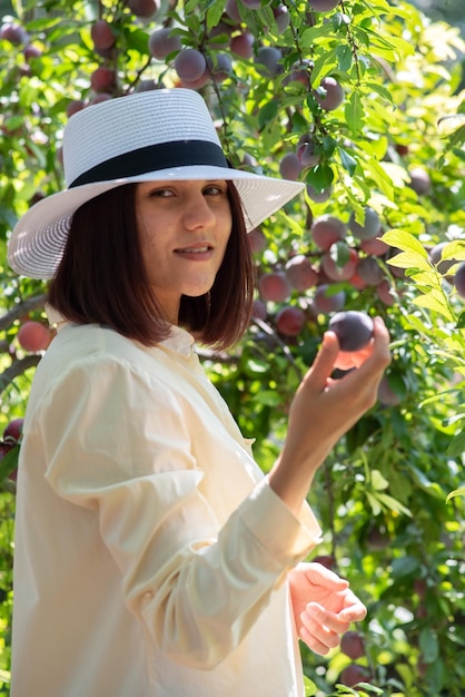 Linda garota de chapéu colhendo uma colheita de frutas da árvore