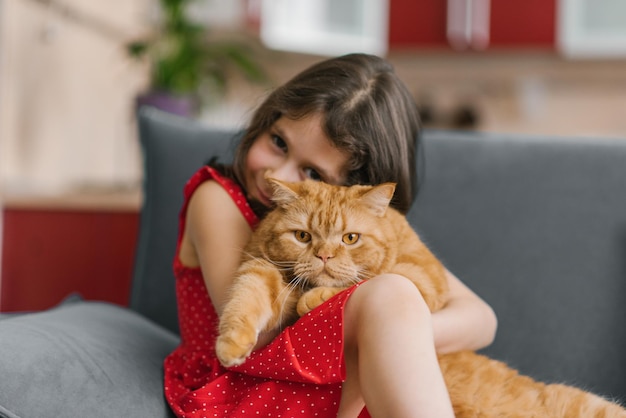 Linda garota de vestido vermelho segura seu amado gato britânico vermelho em seus braços