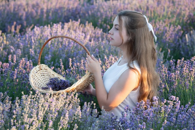 Linda garota em lavanda provence durante as férias de verão Retrato de uma menina em lavanda provence Linda garota em uma lavanda provence ao pôr do sol garota provence em flores de lavanda