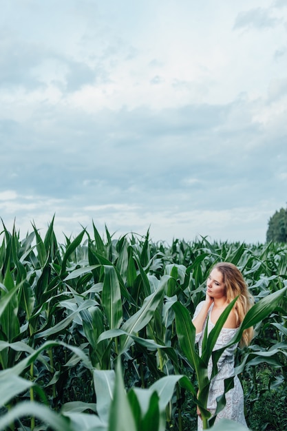 Linda garota fica no campo de milho jovem. Agricultura.