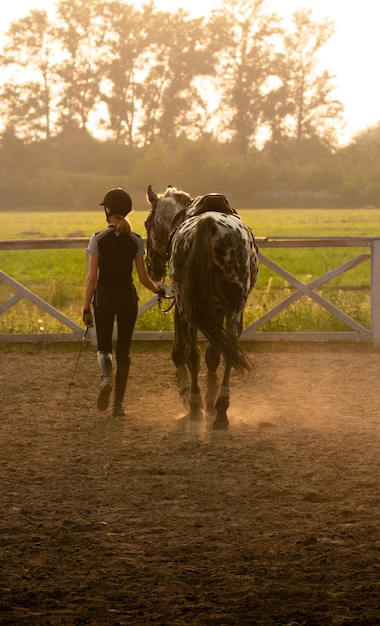 Linda garota jóquei ao lado de seu cavalo em um uniforme especial