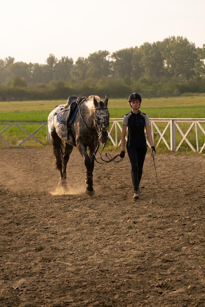 Linda garota jóquei fica ao lado de seu cavalo vestindo um uniforme especial em um céu e campo verde backg ...