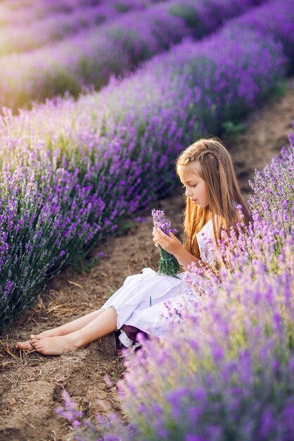 Linda garota jovem coleta lavanda. Uma garota se senta em lavanda ao sol.