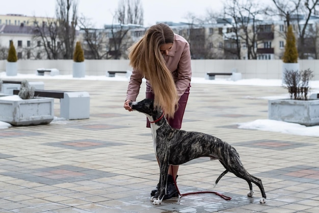 linda garota loira mantém um cachorro whippet na coleira na cidade