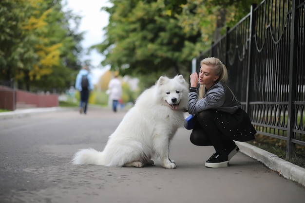 Linda garota passeando com um lindo cachorro fofo Samoieda