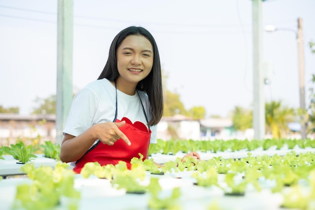 Linda garota trabalhando na fazenda de alface pequena orgânica de vegetais do sistema hidropônico.