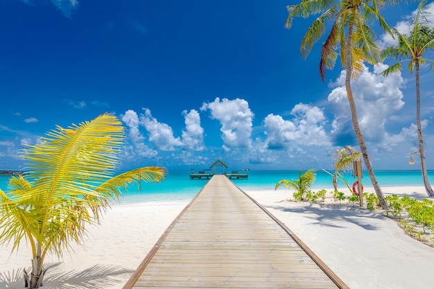 Linda ilha tropical das Maldivas com praia incrível vista para o mar cais céu azul viagens de verão