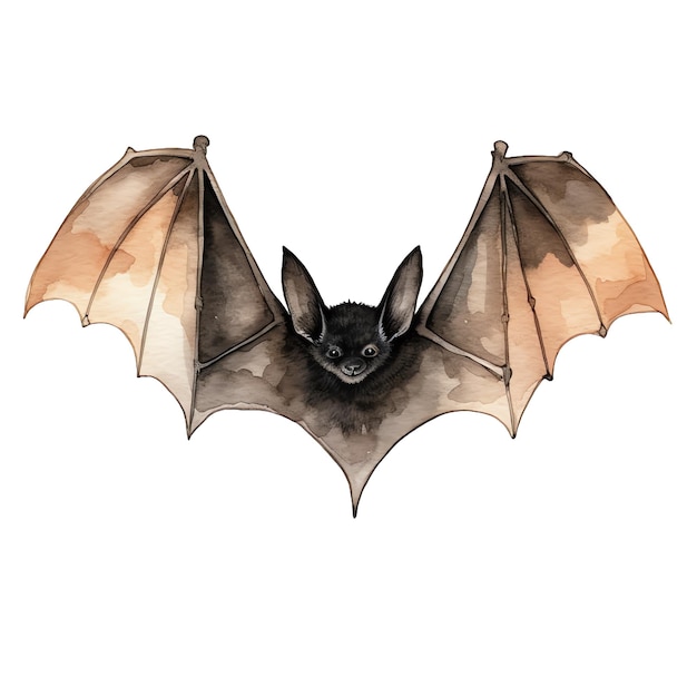 Linda ilustración de murciélago acuarela
