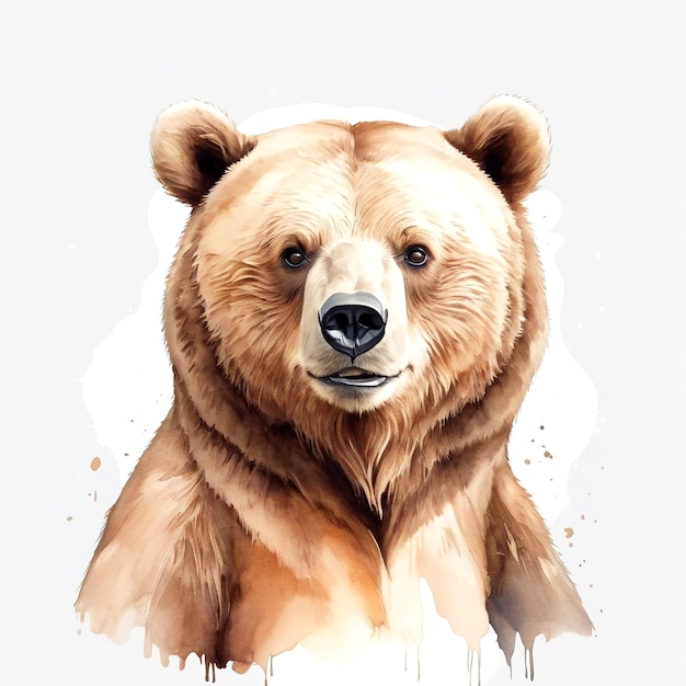 Una linda ilustración de un oso sobre un fondo blanco