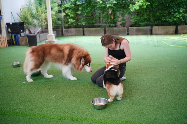 Linda jovem brincando com seu cachorro