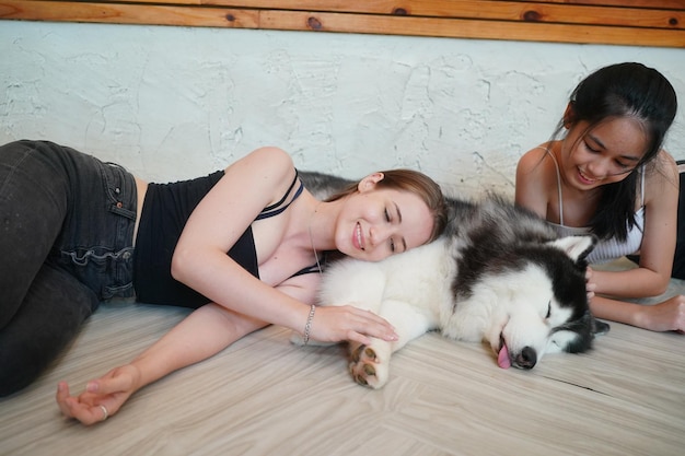 Linda jovem brincando com seu cachorro