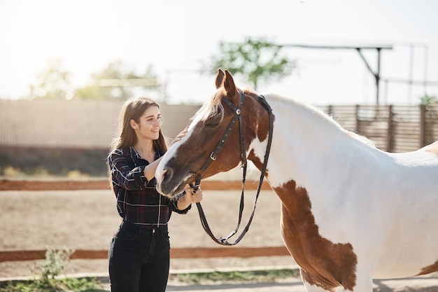 Linda jovem proprietária de cavalos cuidando de seu cavalo em uma fazenda em um dia ensolarado