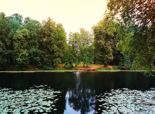 Linda lagoa de outono no cenário da paisagem do parque da cidade