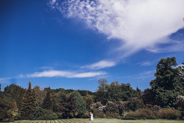 Linda linda noiva e noivo caminhando no parque ensolarado da primavera entre florescendo sob o céu azul casal de noivos felizes se abraçando no jardim verde momentos de casamento feliz fuga