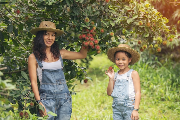 Linda mãe asiática e filha no jardim de frutas agrícolas do rambutan. pessoas de férias viajam conceito de natureza.
