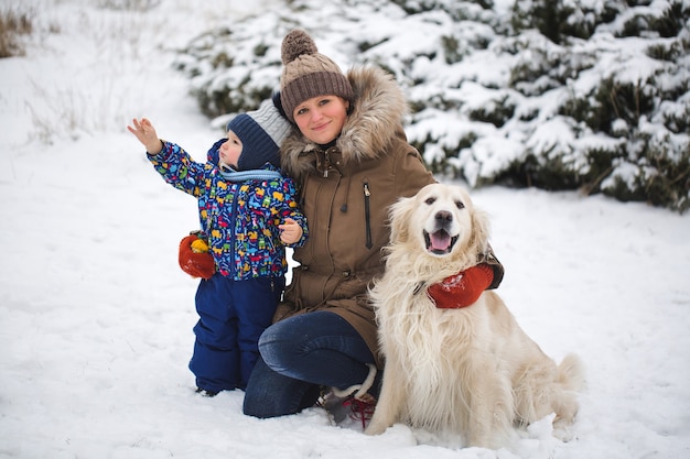 Linda mãe e filho brincando com meu cachorro na neve. Golden Retriever