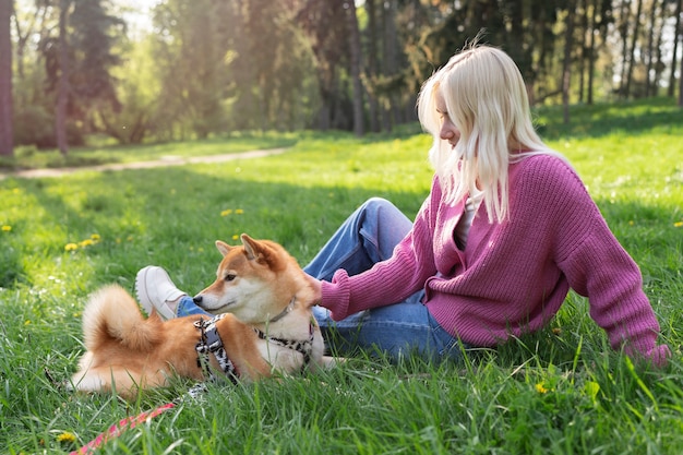 Foto linda mascota shiba inu con familia