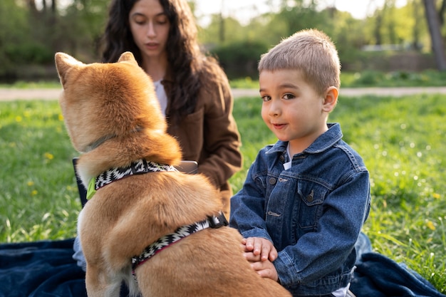 Linda mascota shiba inu con familia