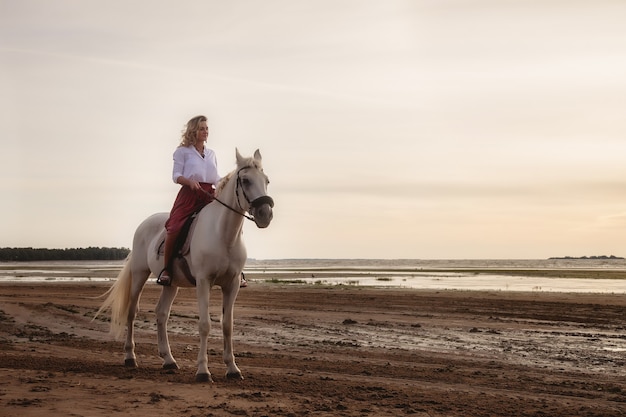 Linda mujer joven feliz a caballo en la playa de verano por mar. La hembra del jinete conduce su caballo en la naturaleza en el fondo claro del atardecer de noche. Concepto de equitación, deportes y recreación al aire libre. Copia espacio