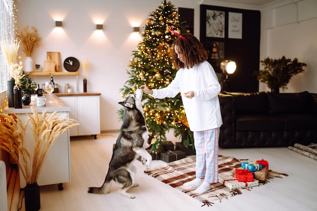 Linda mulher brincando e se divertindo com seu cachorro enquanto está sentado perto da árvore de natal