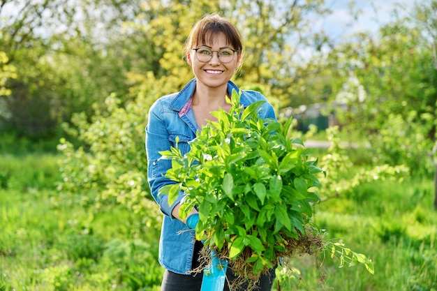 Linda mulher de meia-idade com planta phlox paniculata enraizada olhando para a câmera