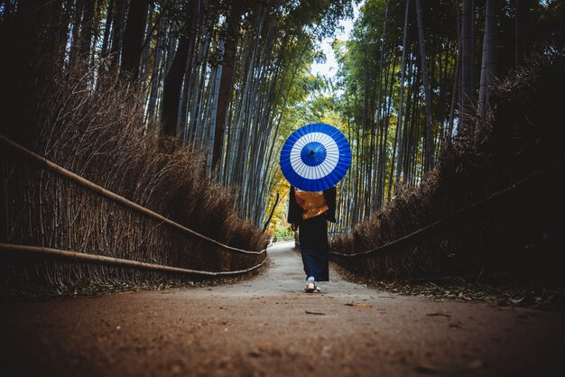 Foto linda mulher japonesa sênior andando na floresta de bambu