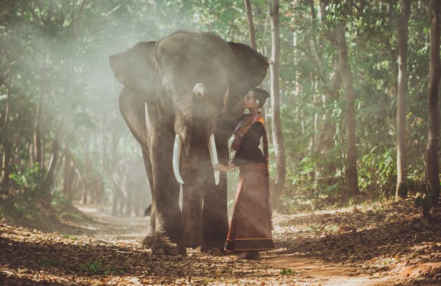 Linda mulher tailandesa passar tempo com o elefante na selva