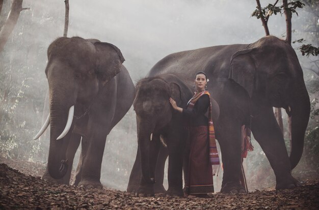 Linda mulher tailandesa passar tempo com o elefante na selva