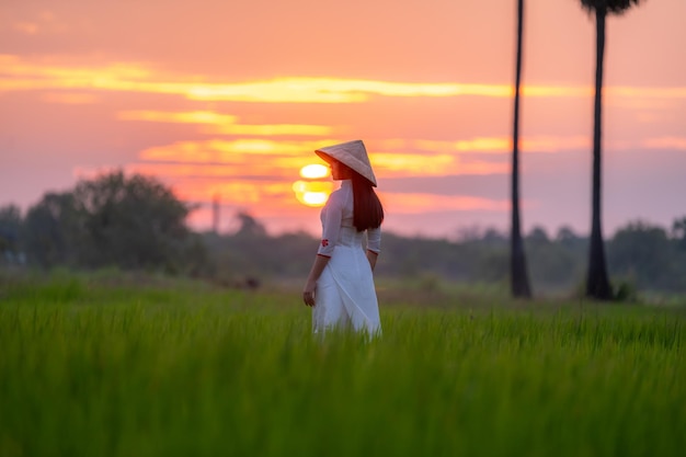 Linda mulher vietnamita vestindo vestido tradicional com caminhada passe campo de arroz verde na hora do nascer do sol