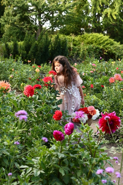 Linda niña adorable oliendo flores de dalia. jardín de otoño