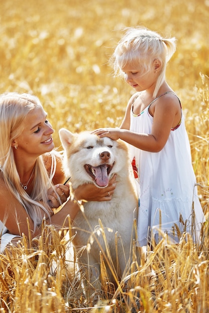 Linda niña con mamá y perro en el campo de trigo feliz familia joven disfrutar de tiempo juntos en la naturaleza mamá, pequeña niña y perro husky descansando al aire libre unión, amor, concepto de felicidad.