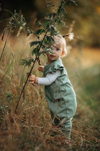 Linda niña pequeña en un paseo por el parque adorable niño juega con plantas de hierba en un cálido verano