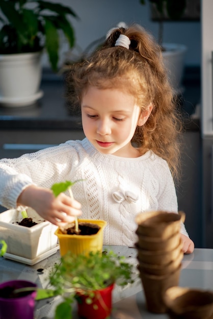 Una linda niña planta en casa en macetas ecológicas Lleva un suéter blanco El jardín de la casa Hobby