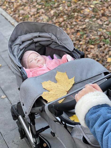 Una linda niña recién nacida durmiendo en un cochecito en el parque de otoño
