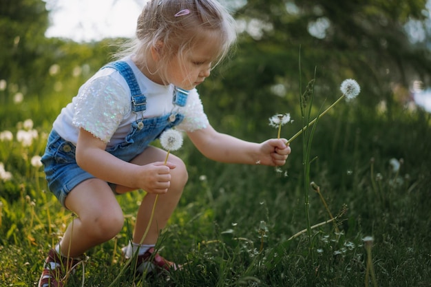 Linda niña rubia caucásica colección dientes de león caminando sobre hierba verde en el parque de verano