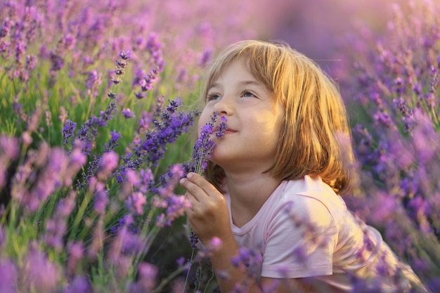 Linda niña sentada en el prado de lavanda Composición de retrato y naturaleza