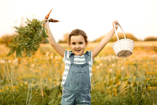 Linda niña sosteniendo un montón de zanahorias orgánicas frescas en un jardín o una granja cosechando verduras Agricultura negocio local y concepto de comida saludable