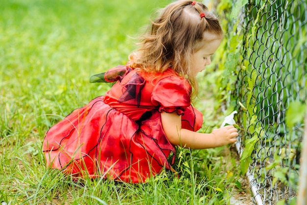 Linda niña vestida con un largo vestido rojo jugando y divirtiéndose en un césped verde