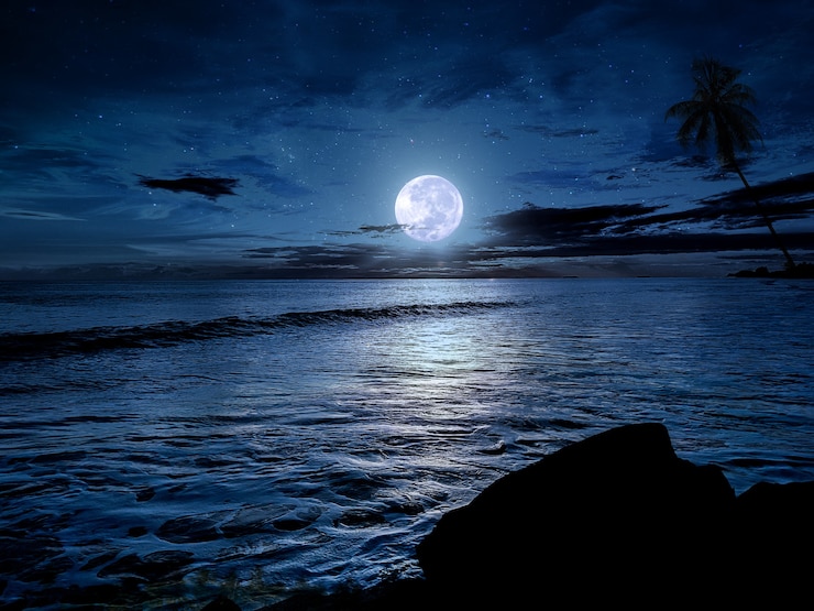Linda noite no oceano com lua cheia