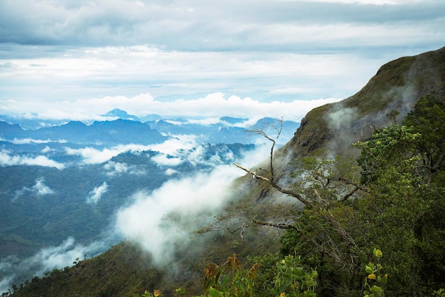 Foto linda paisagem árvore verde e sombra no rio com nuvens de céu azul montanha verde com nuvens de céu azul após a chuva