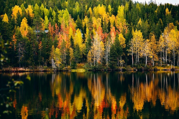 Linda paisagem da floresta de cores do outono refletida nas águas calmas de um lago calmo na Finlândia