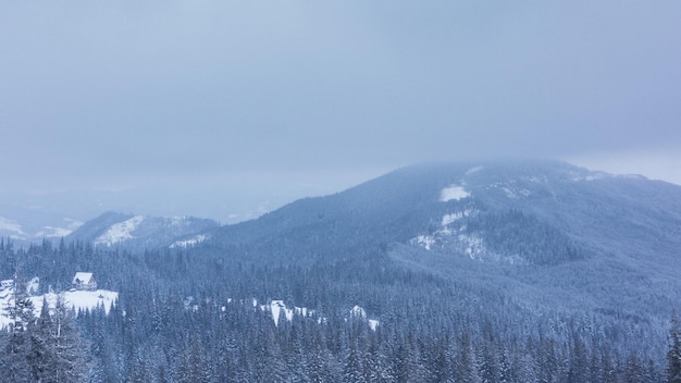 Linda paisagem de inverno com árvores cobertas de neve Montanhas de inverno