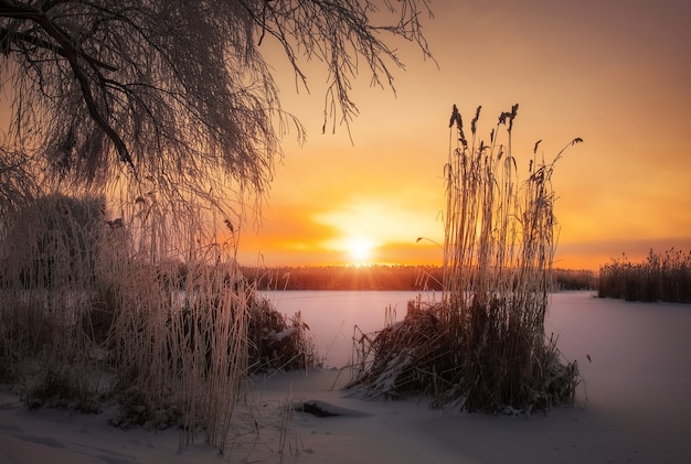 Linda paisagem de inverno