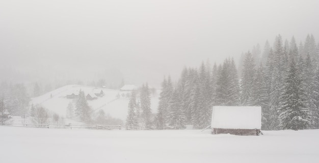 Linda paisagem de inverno