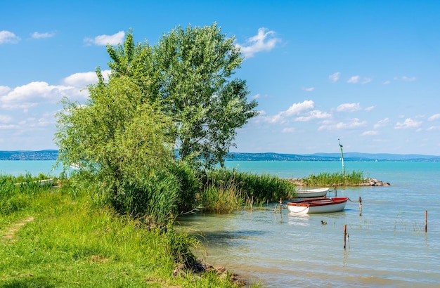 Linda paisagem de lago de verão com água turquesa