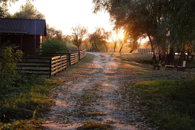 Linda paisagem de outono com pôr do sol entre as árvores verdes e laranjeiras Lugar pitoresco com lago