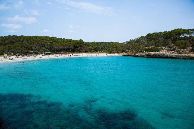 Linda paisagem de praia, ilha tropical exótica, natureza azul, água do mar, ondas do oceano em Maiorca